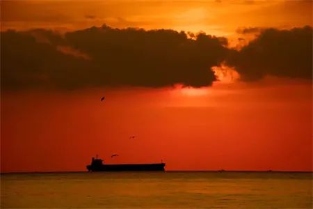 ����4��ԭ��݆��19�ҳ�Ʒ��݆-���\