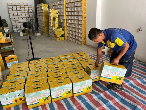 還要和時間賽跑-航運